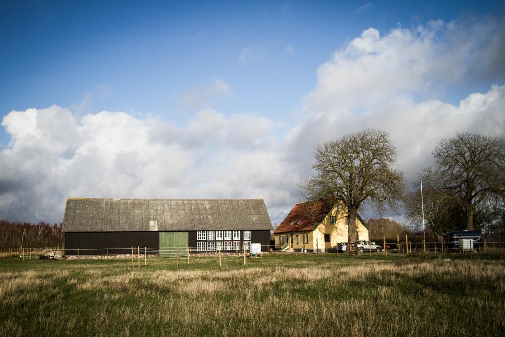 Höganäs Froeken Hjorts Bed And Breakfast מראה חיצוני תמונה